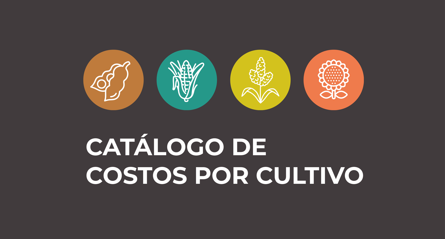 Catálogo