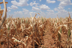Argentina en alerta climática 