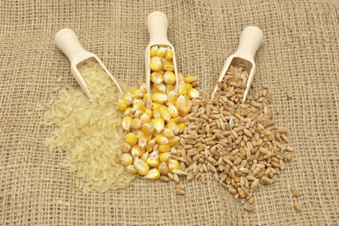 China insta a los agricultores a producir cereales en lugar de otros cultivos
