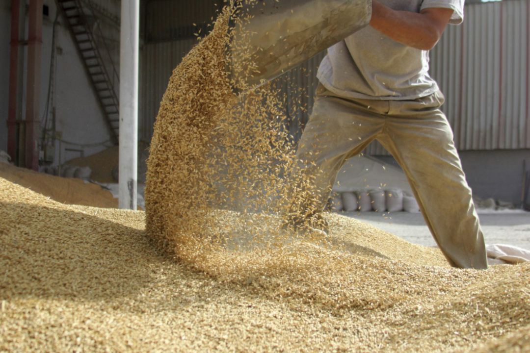 China logra una amplia reserva de granos