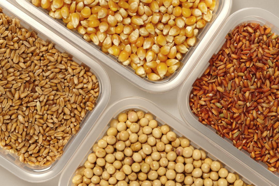 Se espera que las existencias mundiales de cereales caigan al mí­nimo de 7 aí±os