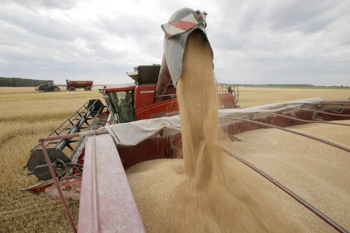 Las perspectivas agrí­colas de la OCDE-FAO