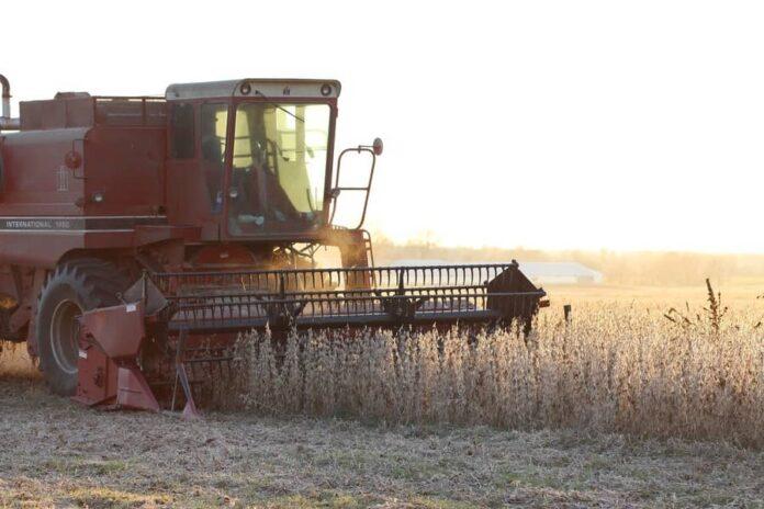 Conab estima una producción de 289,6 millones de toneladas de cereales para 2021/22