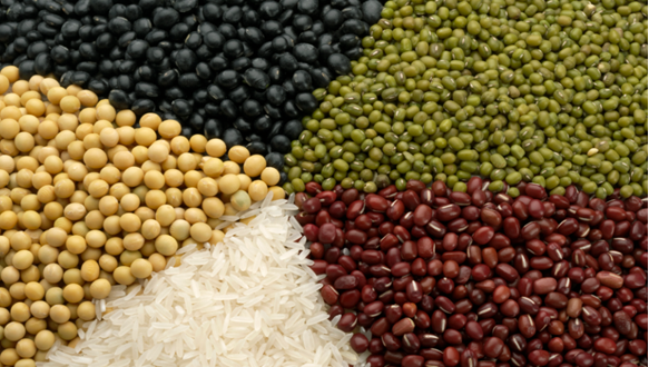 Brasil deberí­a cosechar 252.311 millones de toneladas de grano en 2020/21