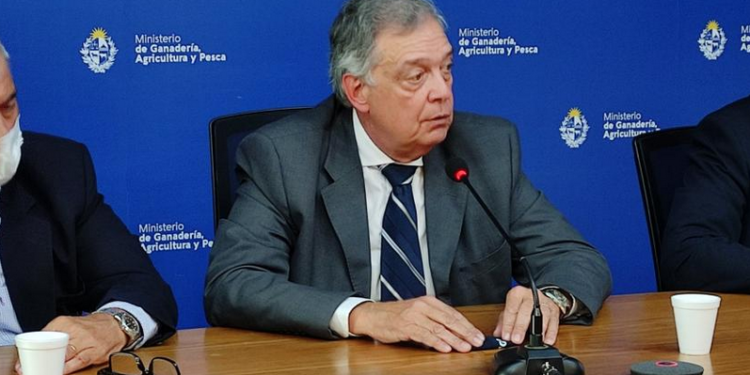 Uruguay se anticipa a un escenario seco y habilita la autorización de pastoreo en la ví­a píºblica