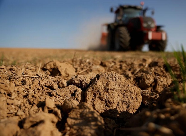 Productores agropecuarios: devolución del IVA compras de gasoil.