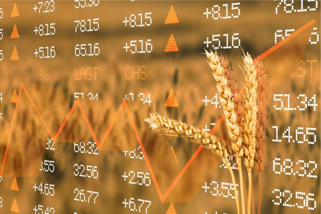 La guerra de Ucrania tendrá un impacto duradero en la inflación de los alimentos