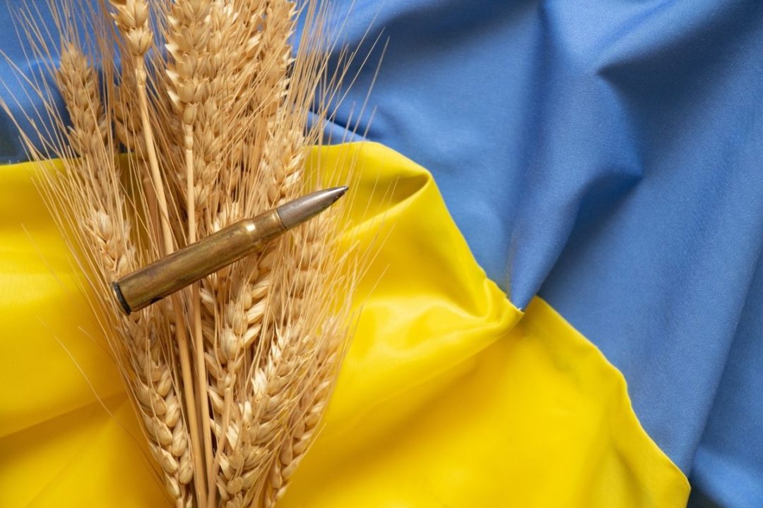 La guerra esposa a la industria de cereales de Ucrania