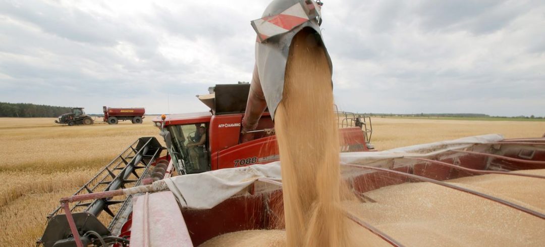 ONU: Se da un paso crí­tico para reanudar las exportaciones de granos de Ucrania