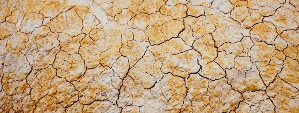 Casi el 55% del territorio argentino se encuentra bajo condición de sequí­a