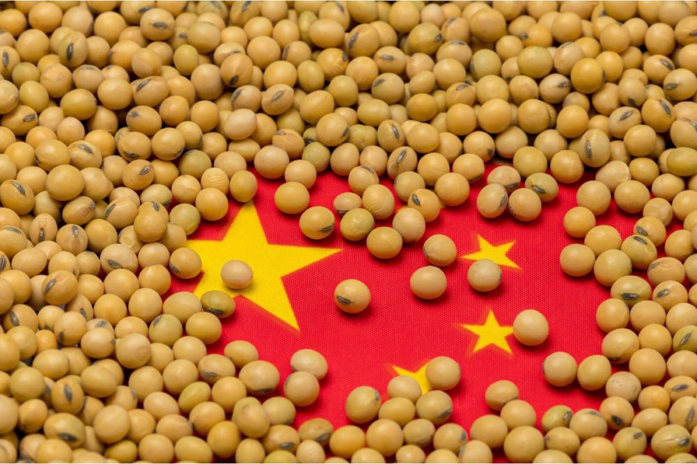 China importará volumen récord de soja