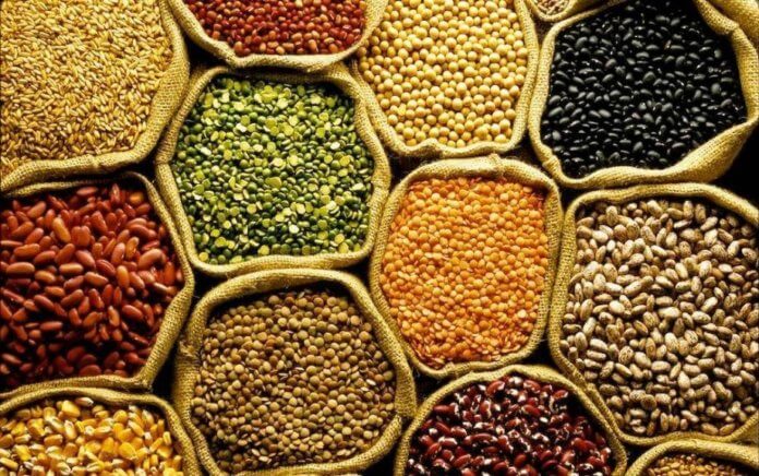 Conab proyecta cosecha de granos en Brasil en 2023/24 de 312,3 millones de toneladas