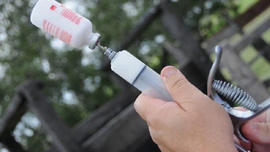 Calendarios de distribución de vacunas contra aftosa: perí­odo 15/6 al 15/7.