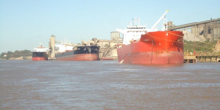 Primeras registraciones de embarques de trigo argentino 2024/25 por temor a subas de precios.