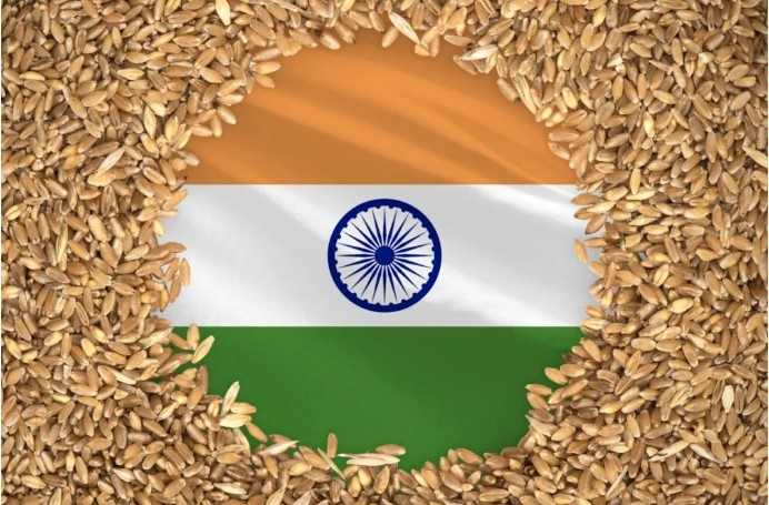 India alcanza récord de producción de cereales
