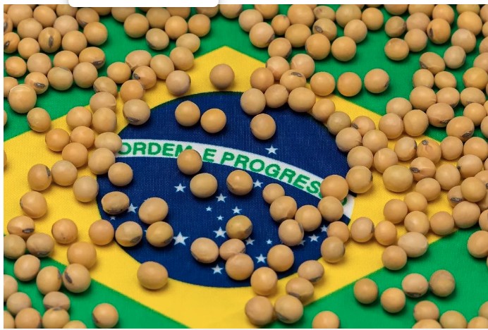 El clima favorece la cosecha de soja en Brasil