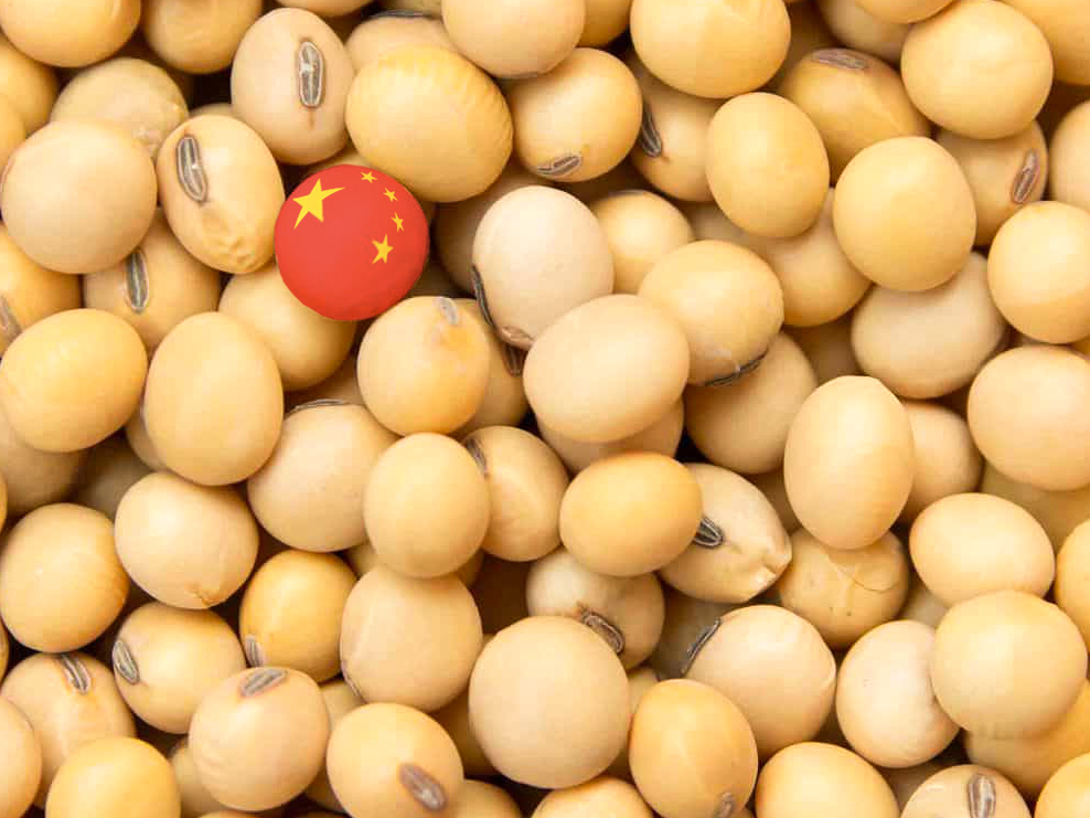 China compró al menos 20 cargas de soja brasileña la semana pasada