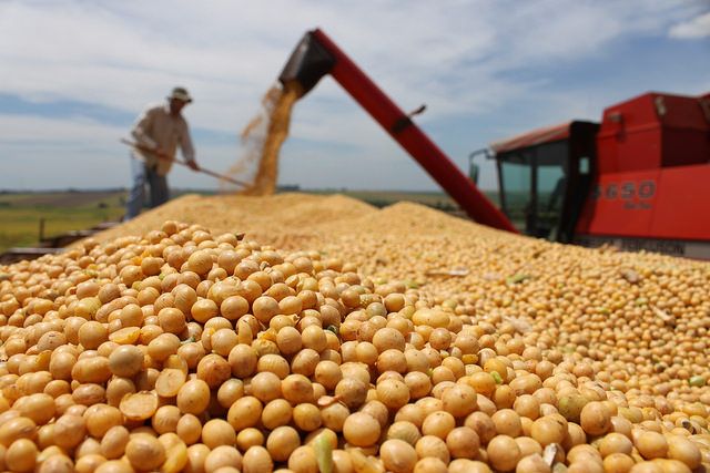 CHINA NO DECLARARÍA, POR AHORA, FUERZA MAYOR EN LA IMPORTACIÓN SOJA DE SUDAMÉRICA