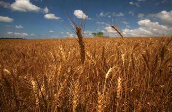 Dufour: los negocios agrí­colas con fijaciones de precios son muy acotados, “por no decir nulos”