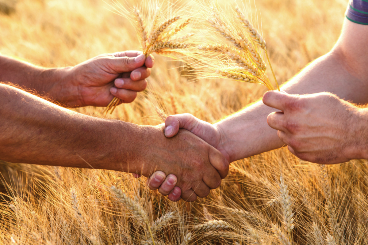 China compra grano estadounidense
