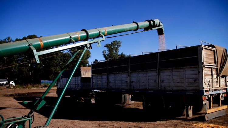 Argentina y seis paí­ses de Sudamérica fijan pautas para garantizar el tránsito de alimentos