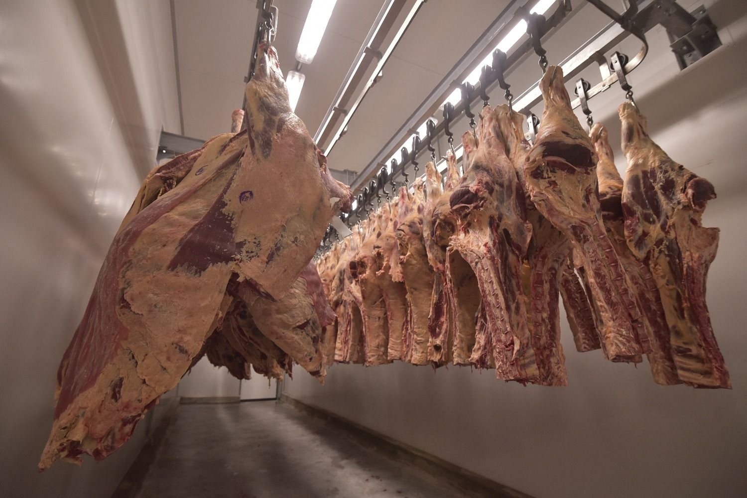 Cayó el ingreso de divisas por exportaciones de carnes